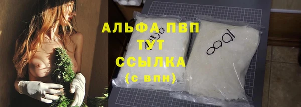 твердый Ростов
